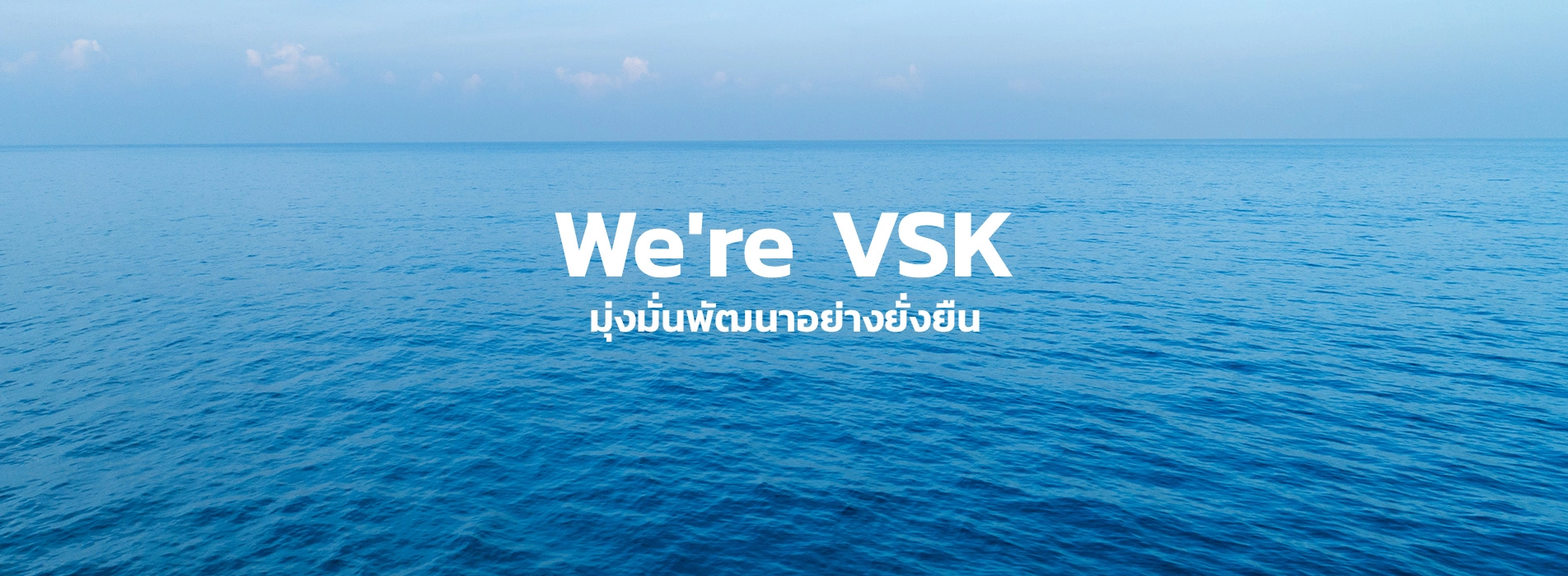 We are VSK มุ่งมั่นพัฒนาอย่างยั่งยืน