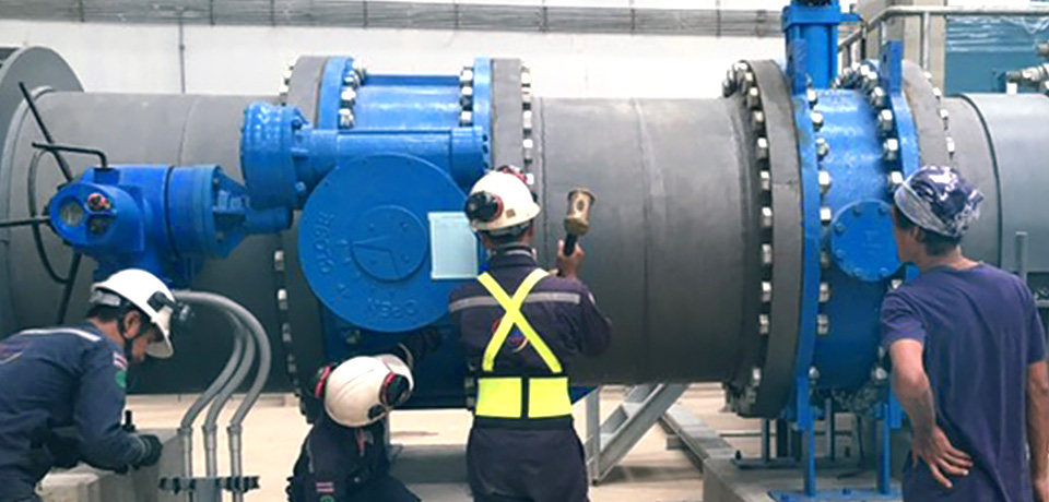 โครงการจ้างเหมาดูแลสถานที่และบำรุงรักษาสถานีสูบผันน้ำคลองพระองค์ไชยานุชิต