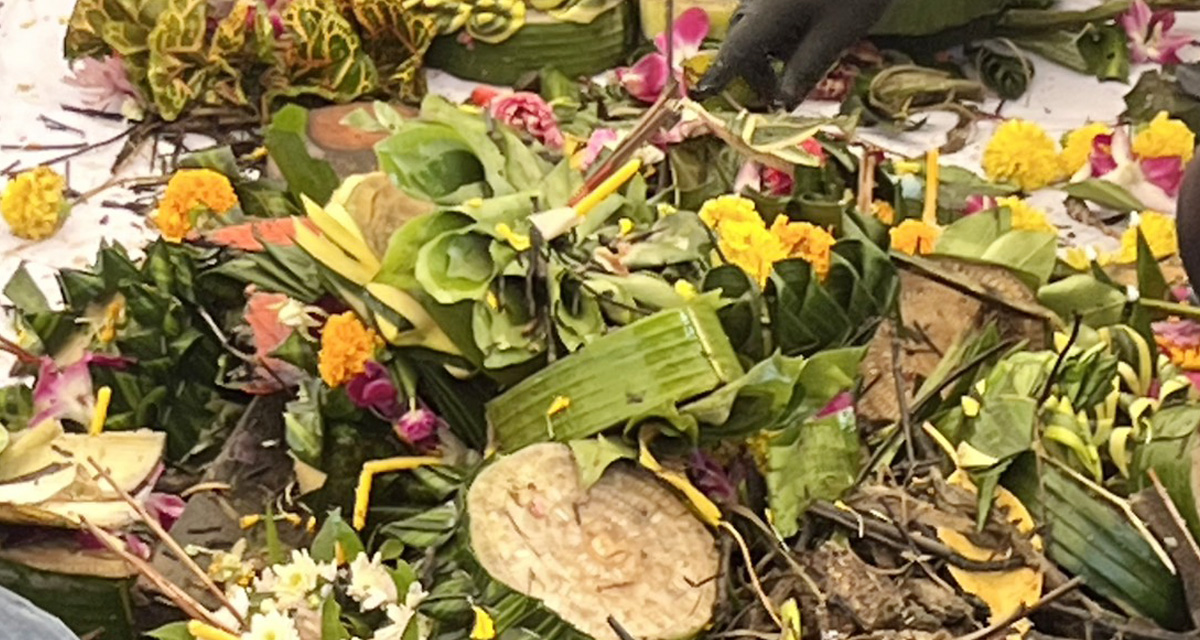 VSK เข้าร่วมโครงการรักษ์น้ำ รักษ์ป่า รักษารักสิ่งแวดล้อม